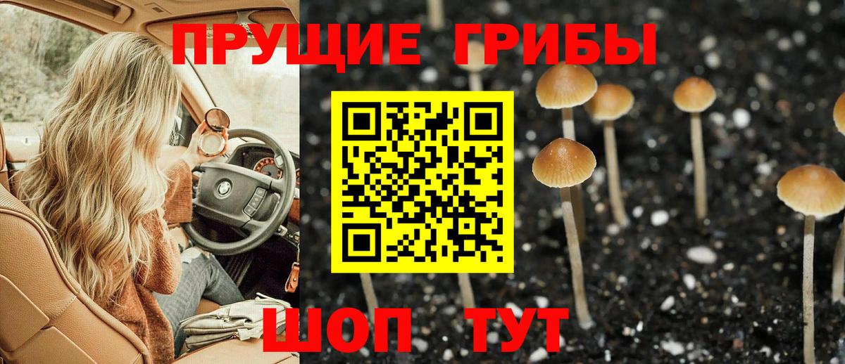 Псилоцибиновые грибы Psilocybine cubensis Октябрьский